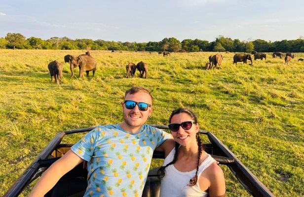 Minneriya National Park Private Jeep Safari with Elephant Viewing