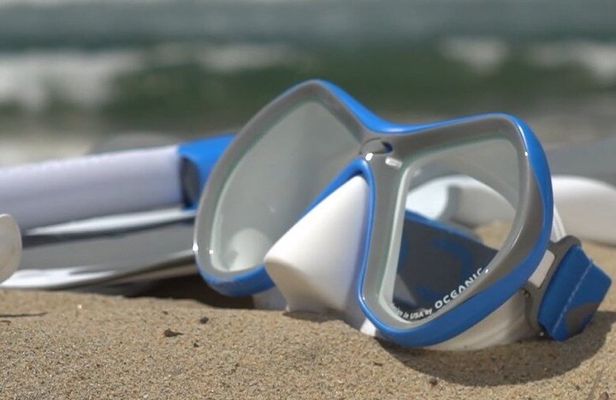 Snorkeling Shared Tour in Kralendijk