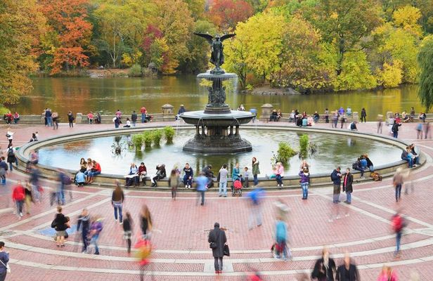 New York City Tour in One Day Central Park and 9 of 11 and Ferry Statue