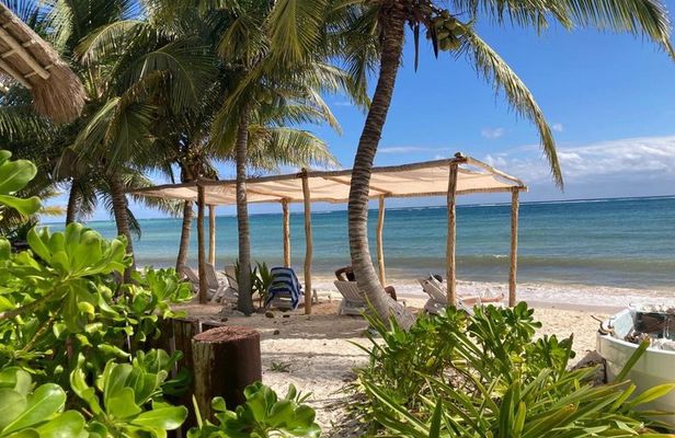 Pronoia Casa de Playa Private Boutique Beach Experience Mahahaul
