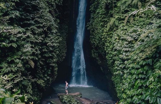 Bali Hidden Waterfalls (Private & All-Inclusive)