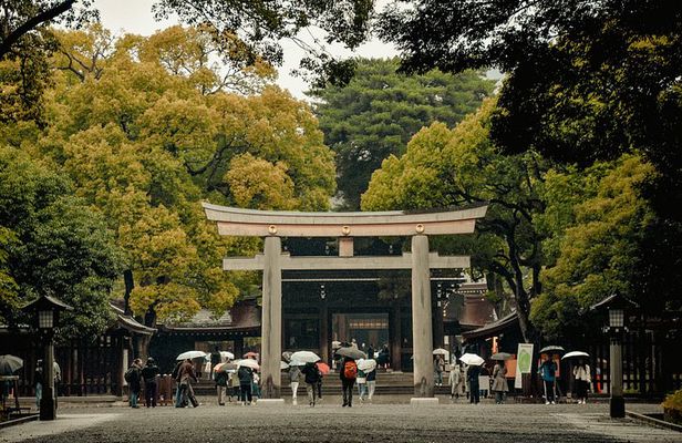 Tokyo Private Tour with English Speaking Guide