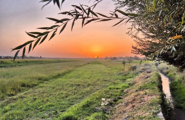Samarkand Village Tour with Homemade Dinner & Local Snacks