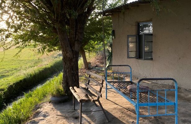 Samarkand Village Tour with Homemade Dinner & Local Snacks