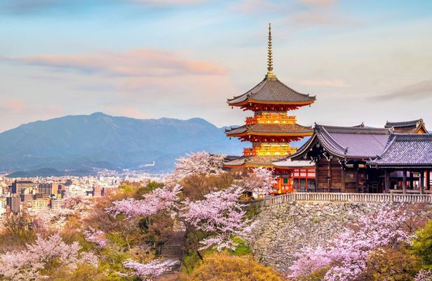 Best of Kyoto and Nara Highlights Day Tour from Osaka (7~9 spots)