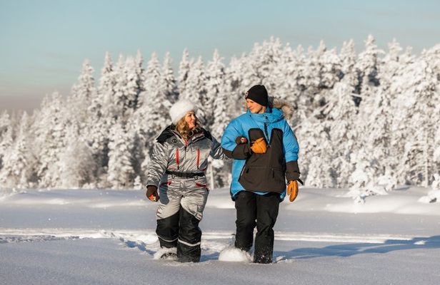 SNOW SYMPHONY: A morning in Lapland 