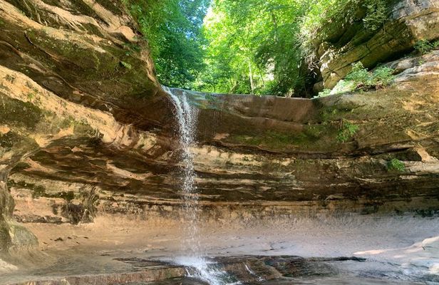 Guided Seasonal Hike