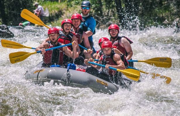 The Numbers 1/2 Day Rafting Trip - Buena Vista