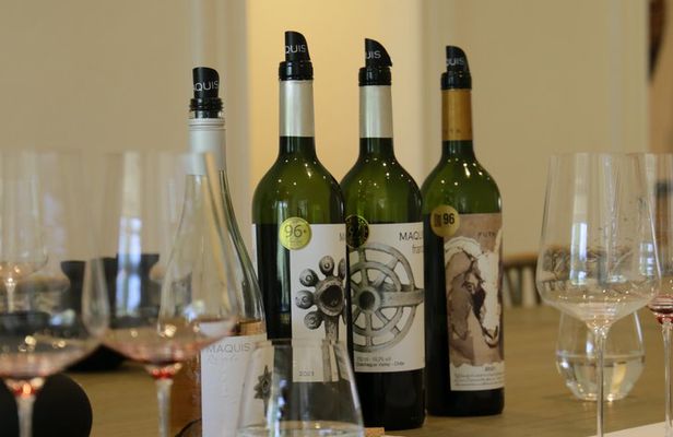 Valley of Colchagua Montes Vineyard and Maquis Vineyard
