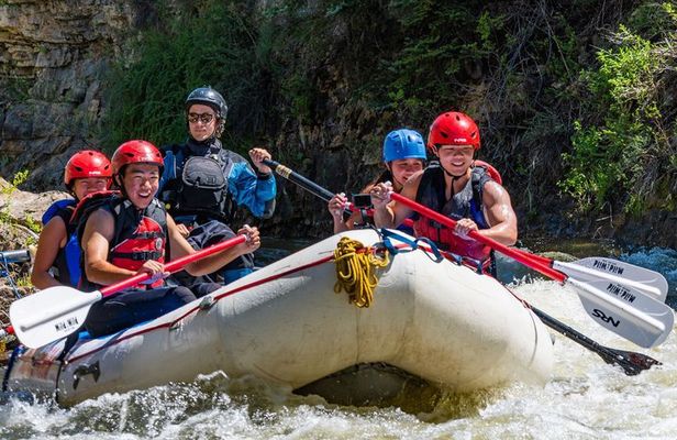 Browns Canyon 1/2 Day Rafting Trip - Buena Vista