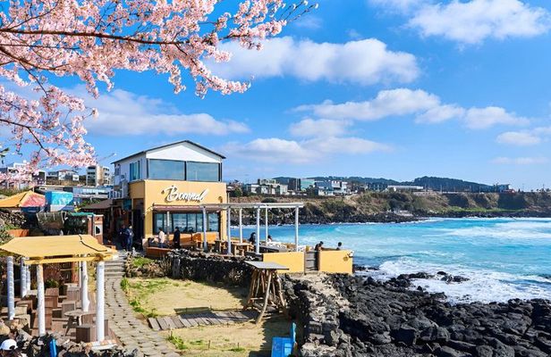 Jeju WestSouth One Day Tour with MT.Halla & UNESCO