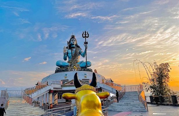 Pokhara City Sightseeing and Top View Point Tour Private orGroup