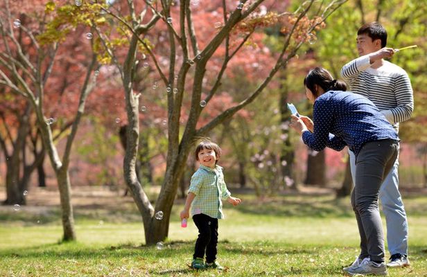 Nami Island Trip with Petite France & Italian Village and Gangchon Rail Bike