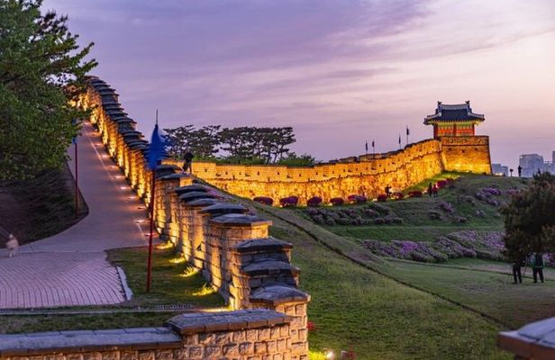 Flexible Seoul Surroundings Private Tour(DMZ, Nami Island, Suwon)