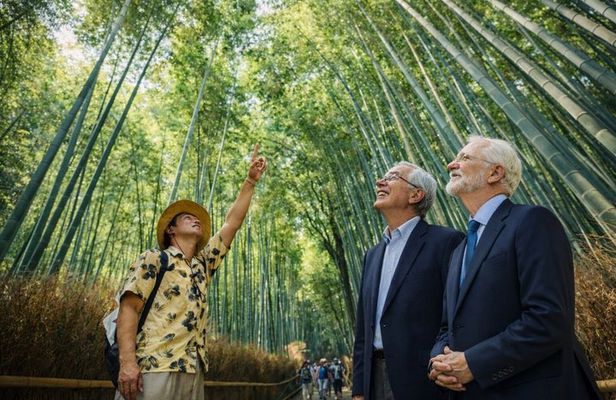 Kyoto Arashiyama Bamboo Grove Morning Walk with Matcha