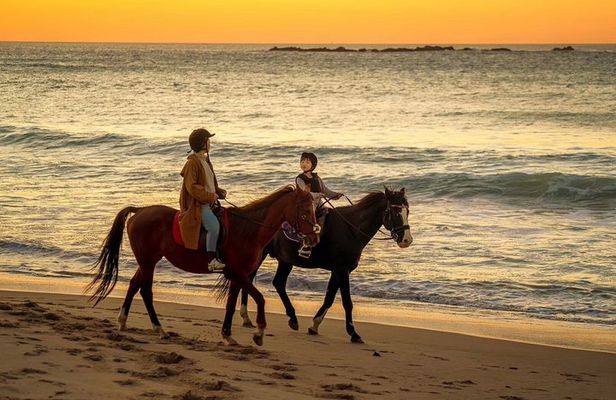 Tangier Mountain and Sea Horseback Riding Adventure