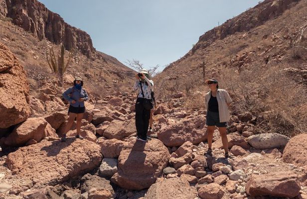 Hiking on Isla Espiritu Santo, the hidden side of La Paz