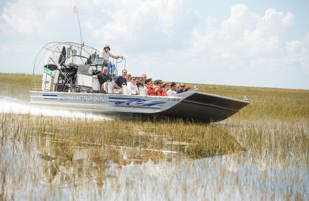 Miami Everglades Experience Airboat Ride, Wildlife Show