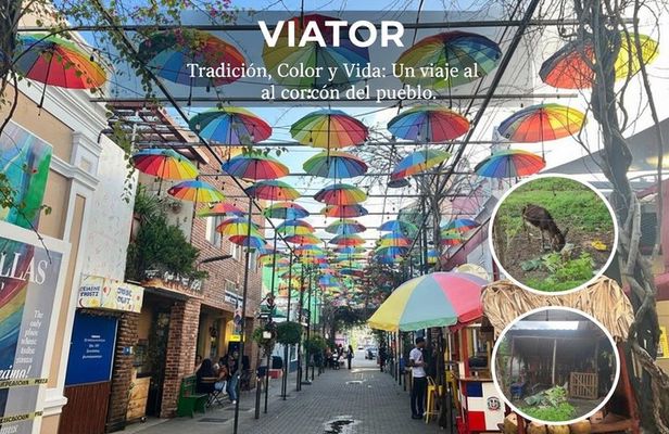 Shared City Tour in Puerto Plata and Countryside