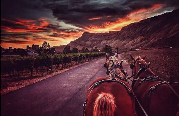 Horse Drawn Sunset Tour in Colorado