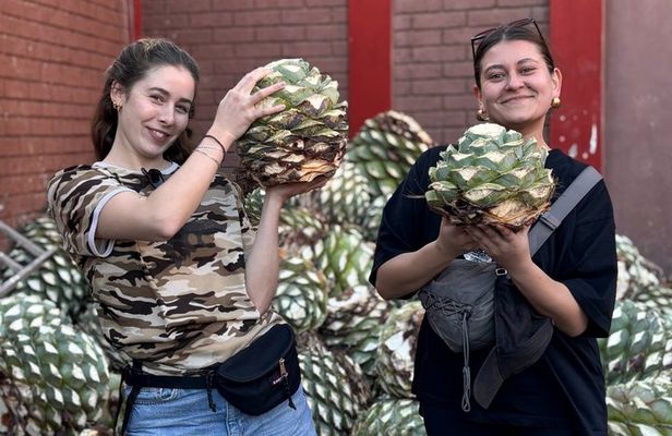 Authentic Mezcal Experience Oaxaca Small Group Local Producers