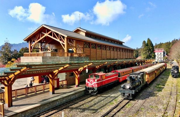 Alishan Private Day Tour from Taichung 