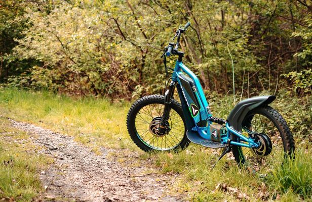Discover National Park Bosland on an Offroad E-scooter