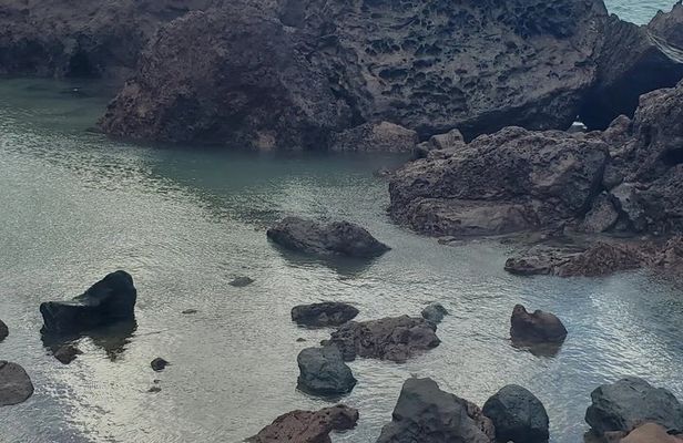 Personalized your taxi and Tours experience