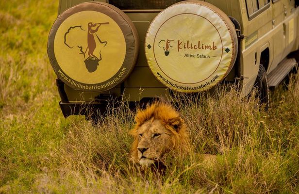 7 day Private Camping Safari In Tanzania