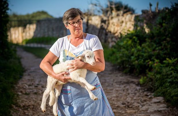Menorca: Cheesemaking and Farm-Fresh Product Tasting