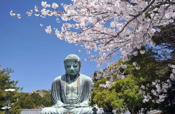 Kamakura Day Tour
