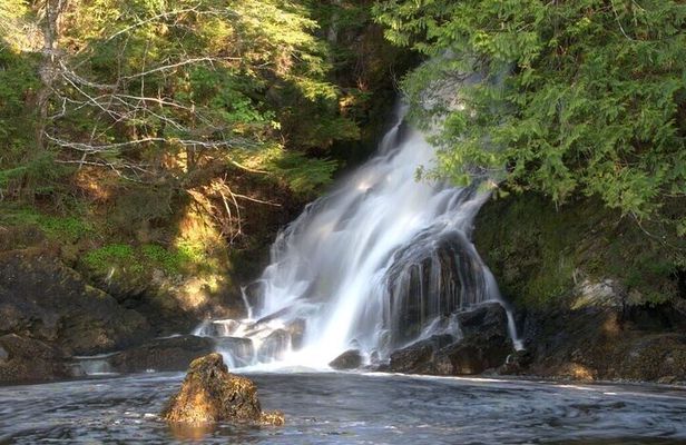 Scenic and Wildlife Tour