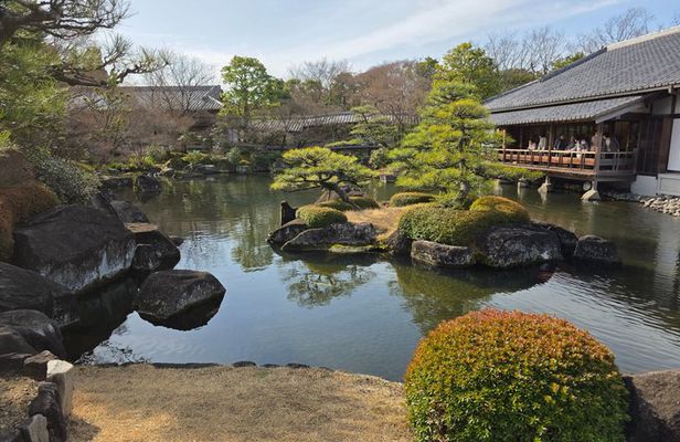 Zen Aesthetics & The Art of Shadow: A Masterclass in Koko-en