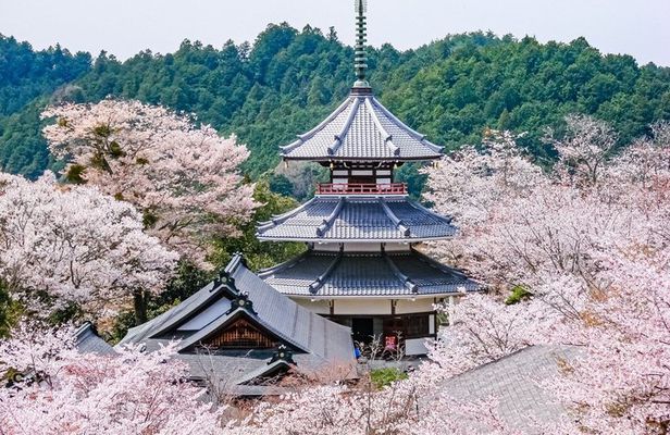 Explore the Sacred Past of Mount Yoshino from Osaka