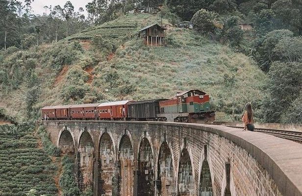 Day Tour at Sri Lanka Elephant Home and Little Adam's Peak