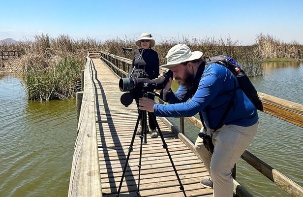 Half-Day Birdwatching Santiago: Wetland or Mountain