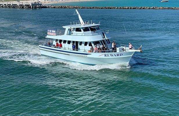 Deep Sea Fishing Adventure in Miami with Transportation Option