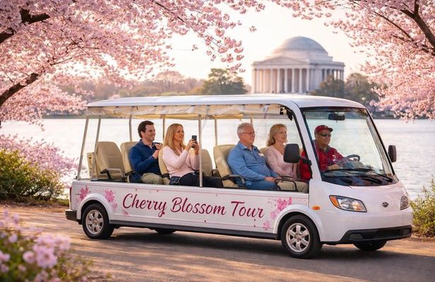 Washington DC Cherry Blossom Tour by E cart