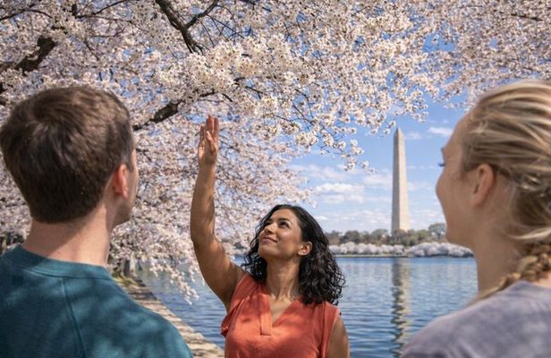 Washington DC: Open-Air Small-Group Memorials E-Cart Tour