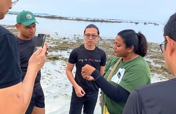 JungleWalla Desaru Beachlife & Tidepool Discovery