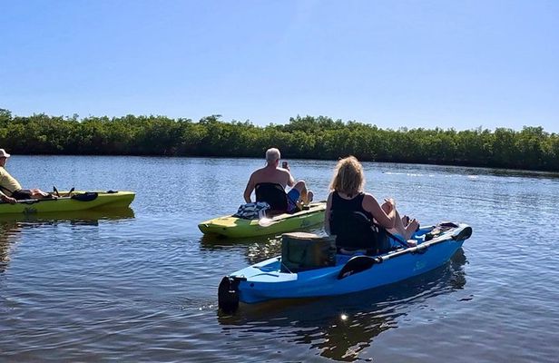 Kickin’ Kayaks Morning Wildlife Tour