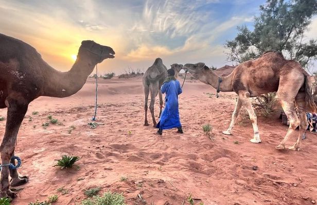 5 Day Sahara Desert Trekking Experience from Marrakech