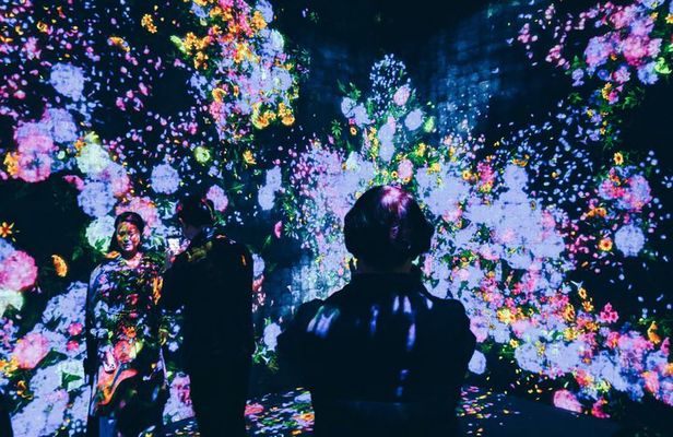 Futuristic Tokyo Tour in teamLab Borderless and City Views