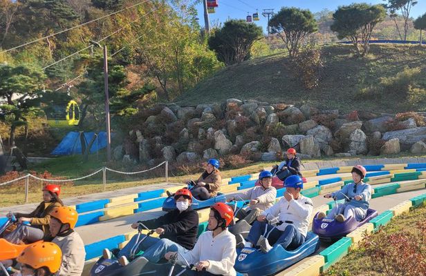 NorthKorea View at Aegibong & Ganghwa Island Luge Tour from Seoul