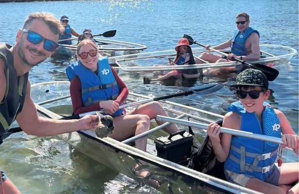 2 Hour Clear Kayak Mangrove Eco Tours, St Pete