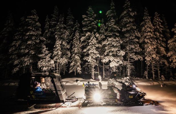 Arctic Night Odyssey: Northern Lights Drive & Snowmobile Safari