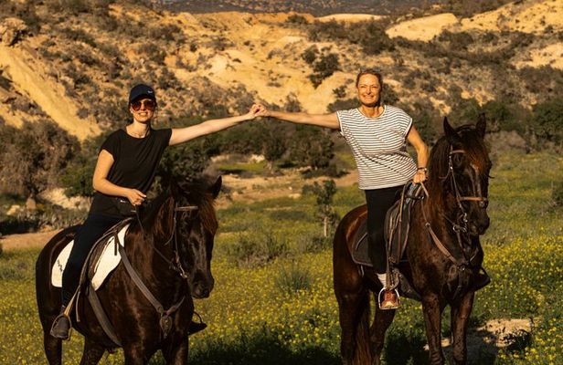 Horse Riding Adventure in Taghazout