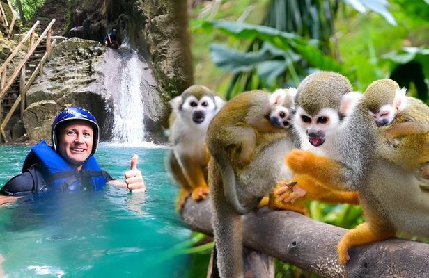 2x1: Puerto Plata MonkeyLand and Waterfalls Tour 