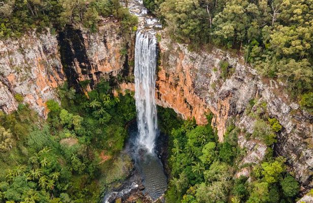 Springbrook Waterfalls and Natural Bridge Tour