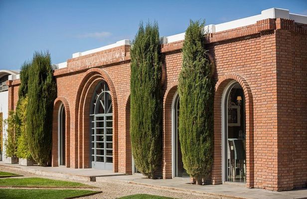 Private Tour in Lujan de Cuyo Mendoza